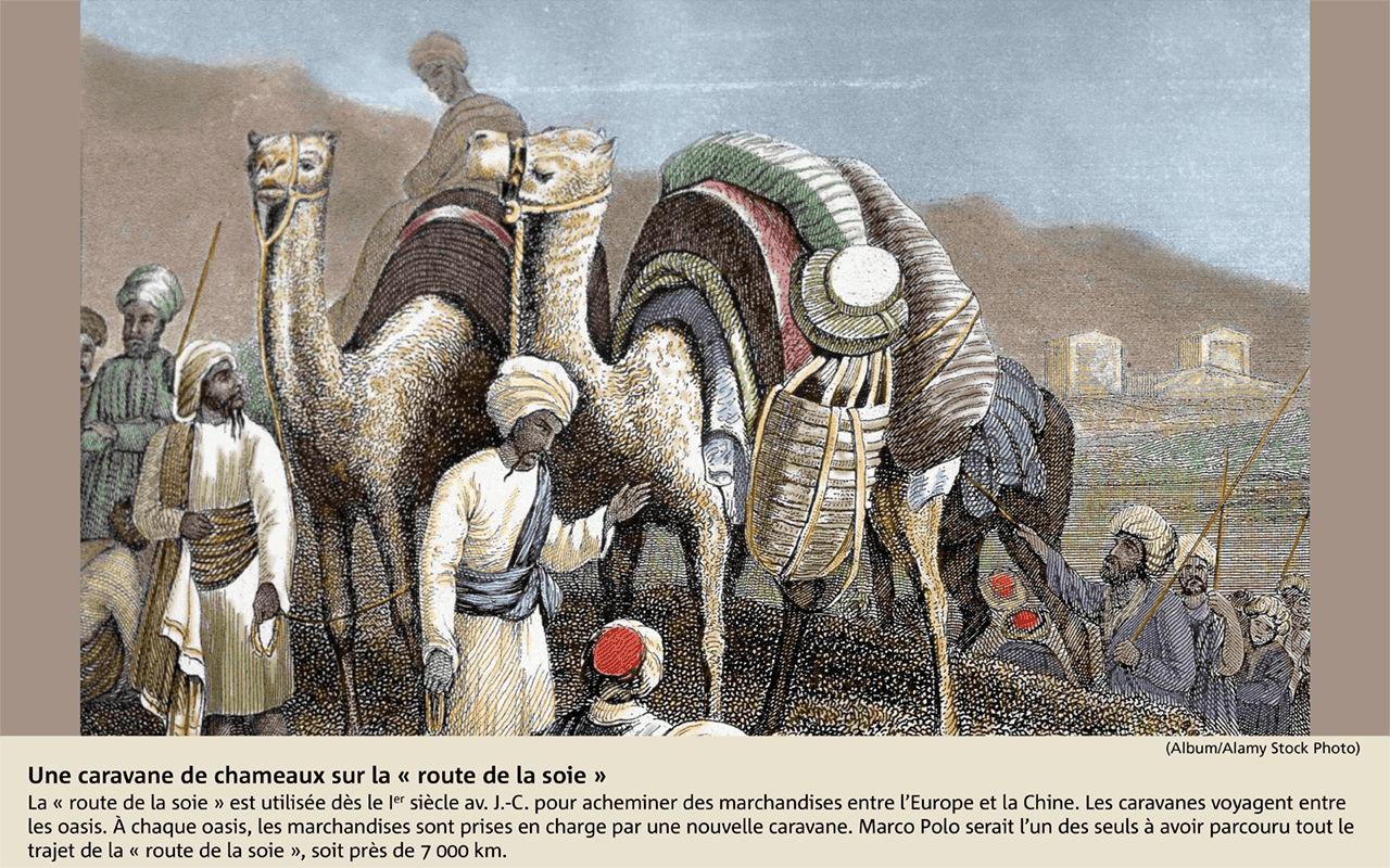 Une caravane de chameaux sur la « route de la soie »
