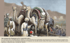 Une caravane de chameaux sur la « route de la soie »

